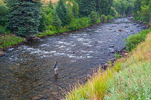 Vail Valley Anglers Guided Fly Fishing Wade Trips in Vail, Colorado.