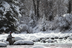 Vail Valley Anglers Guided Fly Fishing Winter Trips in Vail, Colorado.