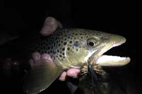 Mousing Guided Fly Fishing Trips