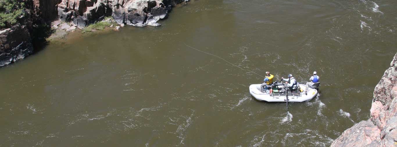 Float Fly Fishing on the Colorado River with Vail Valley Anglers in Vail, CO