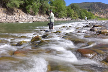 Roaring Fork River