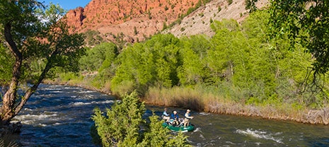 Fly-Fishing with Vail Valley Anglers