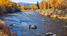 Wade Fly Fishing Upstream