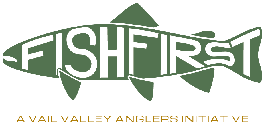 Fish First A Vail Valley Anglers Initiative