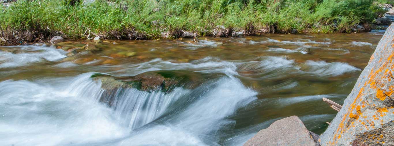 Fly Fishing with Vail Valley Anglers in Vail, CO