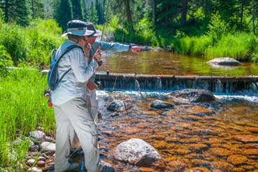 Vail Valley Anglers Guided Fly Fishing 3/4 Day Wade Trips in Vail, Colorado.