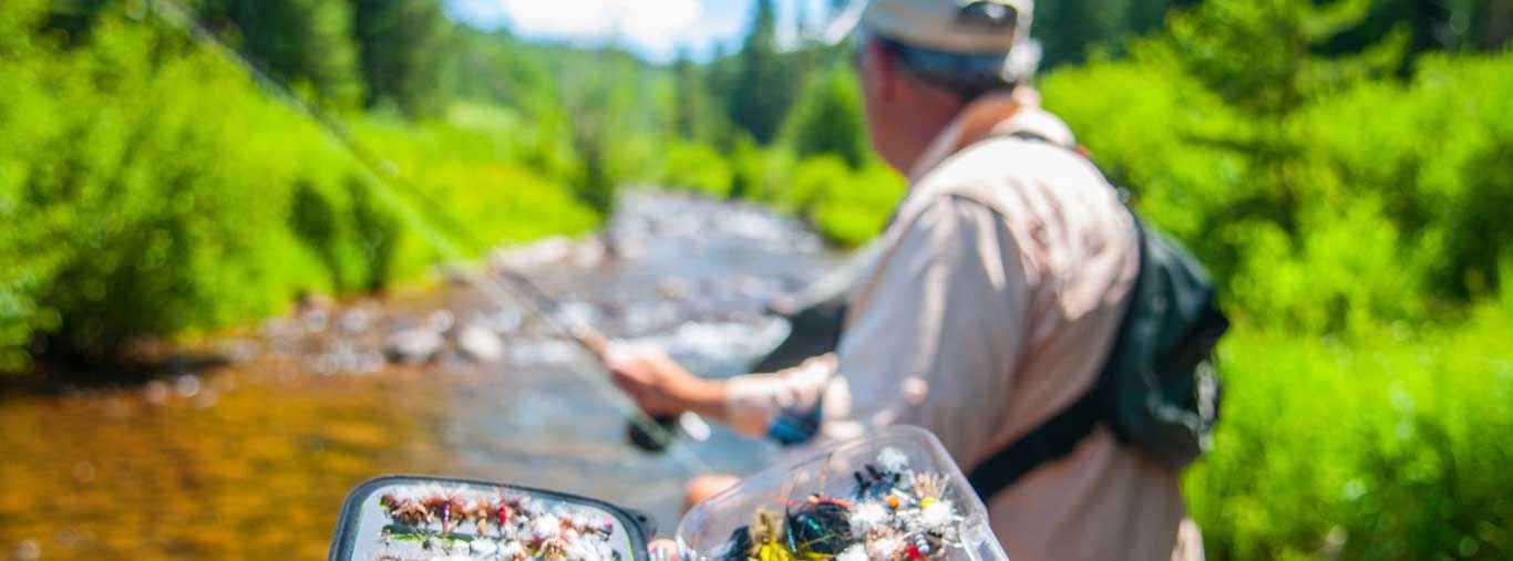 Guided Full Day Wade Fly Fishing Trip with Vail Valley Anglers in Vail, Colorado