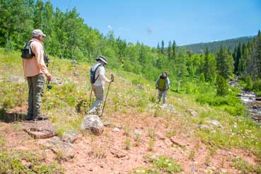 Vail Valley Anglers Guided Fly Fishing Hike & Fish Trips in Vail, Colorado.