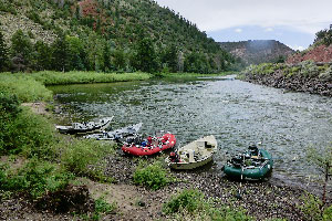 Vail Valley Anglers Guided Fly Fishing Group/Corporate Trips in Vail, Colorado.