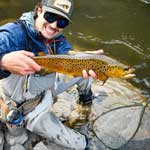 A closeup of a beautiful brown trout caught by Vail Valley Anglers guide Andrew Jorgenson