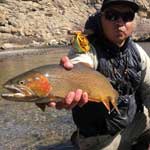 A closeup of a beautiful cutthroat trout caught by Vail Valley Anglers guide Lyle Yazzie.