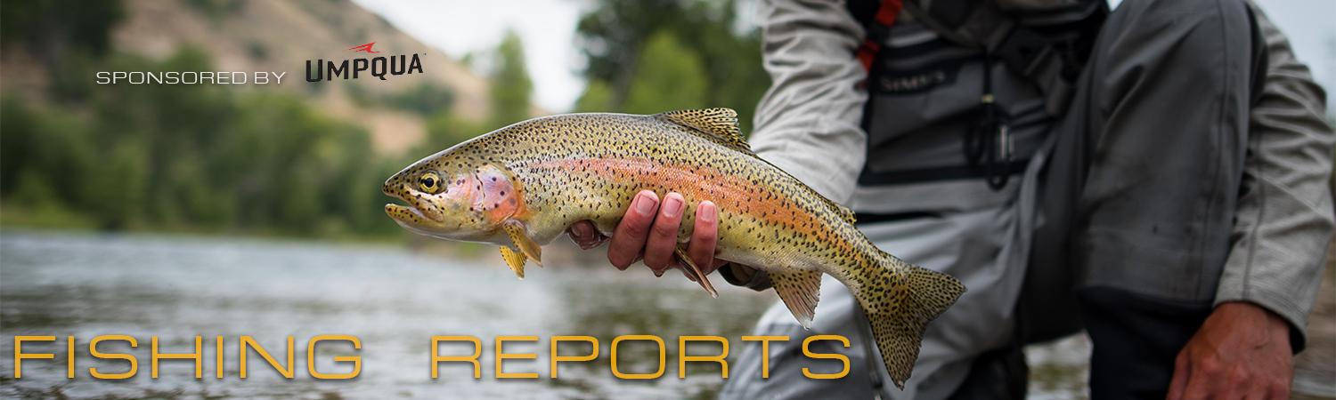 Colorado Fly Fishing Reports Colorado Fishing Conditions Flows