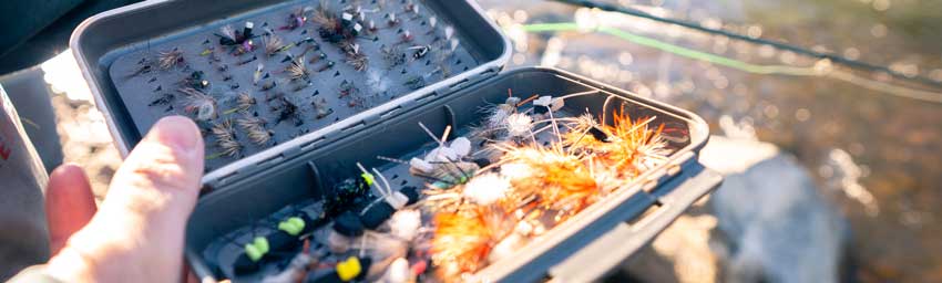 Closeup of a box of flies over a river in Colorado